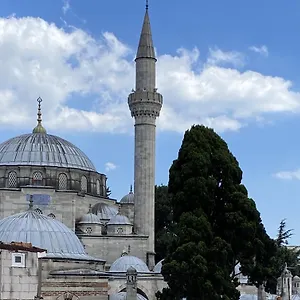 Zeyn Τουρκία